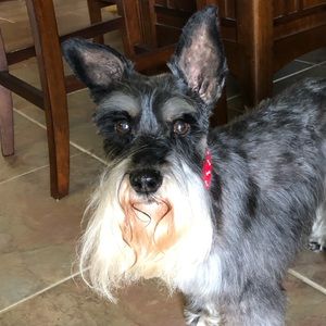 Meet your Posher, Pam